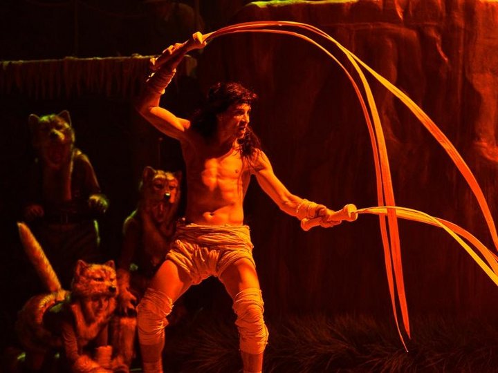 театр юного зрителя маугли спектакль. спектакли. томск тюз спектакль маугли. маугли тюз екатеринбург. маугли мтюз.