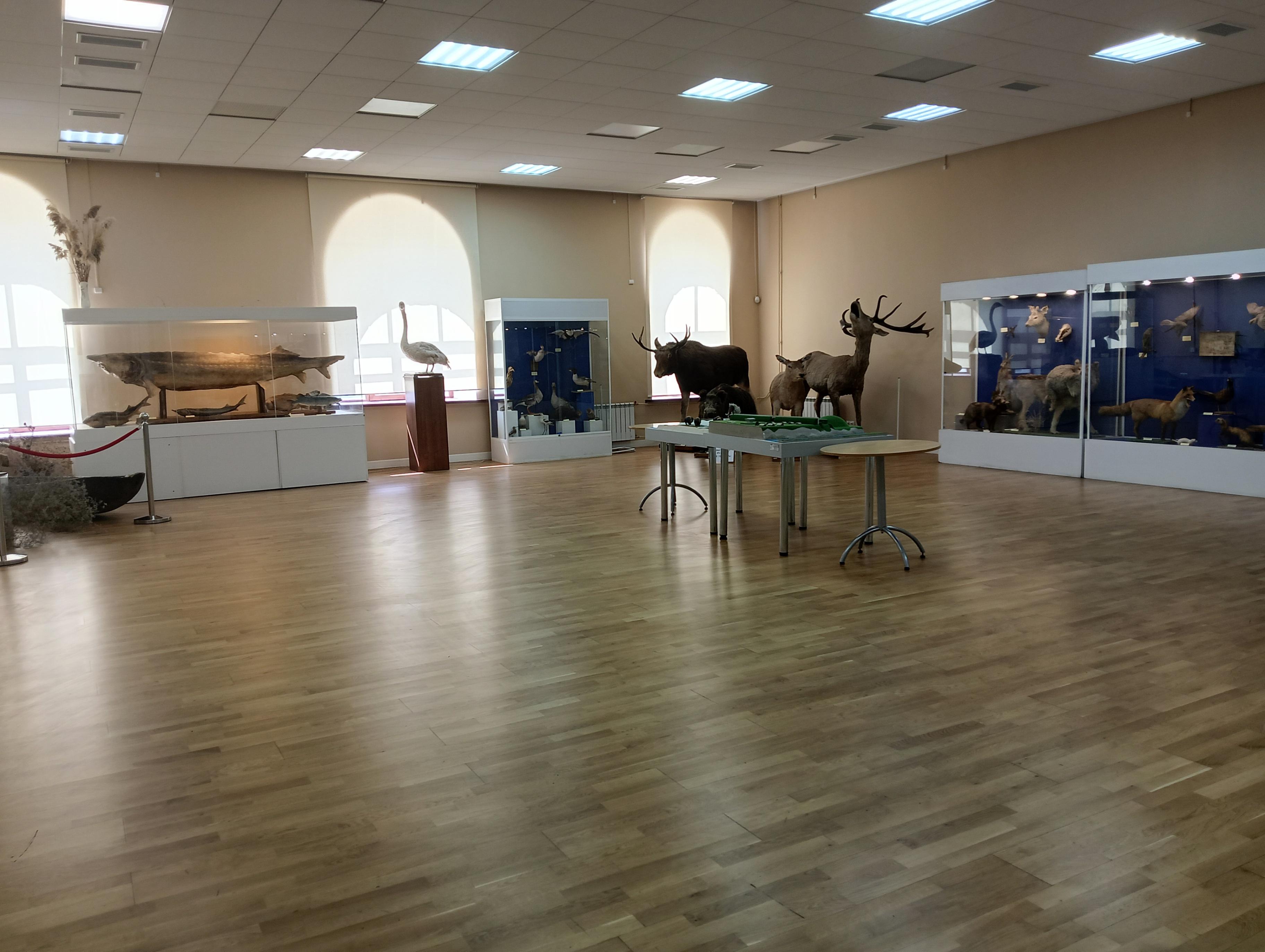 Выставка «Природа Донского края»