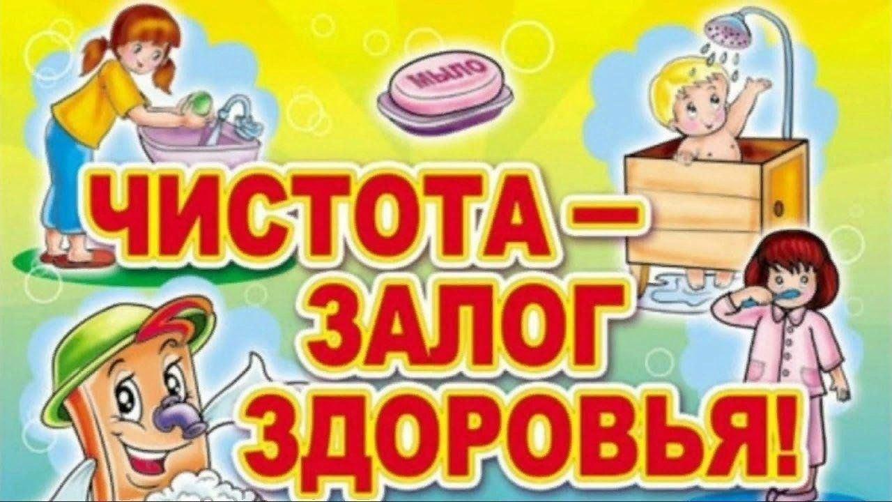 Чистота залог здоровья. Санитарный чвс