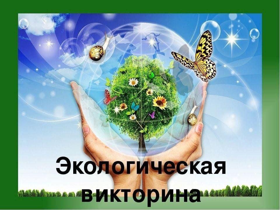 Экологическая викторина «Природа родного края»