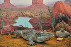 Квест «По реке Ветлуге»