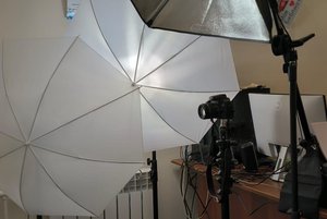 Программа «В объективе – библиоарт»