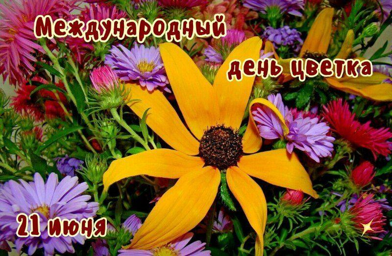 Информационный час «Международный день цветка»