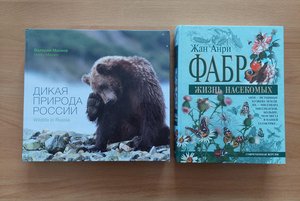 Интерактивная игра «Эта удивительная и загадочная природа»