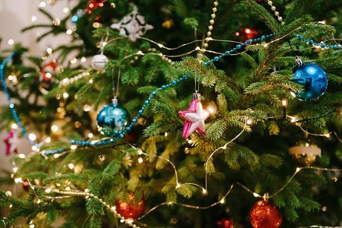 Новогодняя Ёлка для членов семей СВО