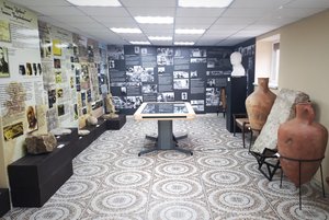 Выставка «История археологических исследований Танаиса»