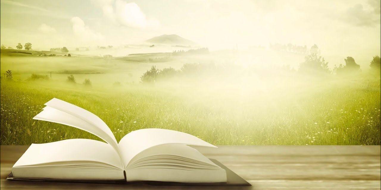 Литературная игра «Путешествие в Читай-город»