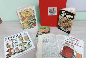 Квиз «Дары русского леса»