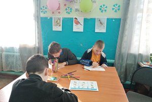 «Зимующие птицы»