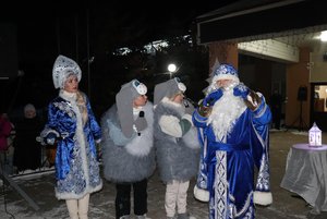 Торжественное открытие главной ёлки Абатского округа