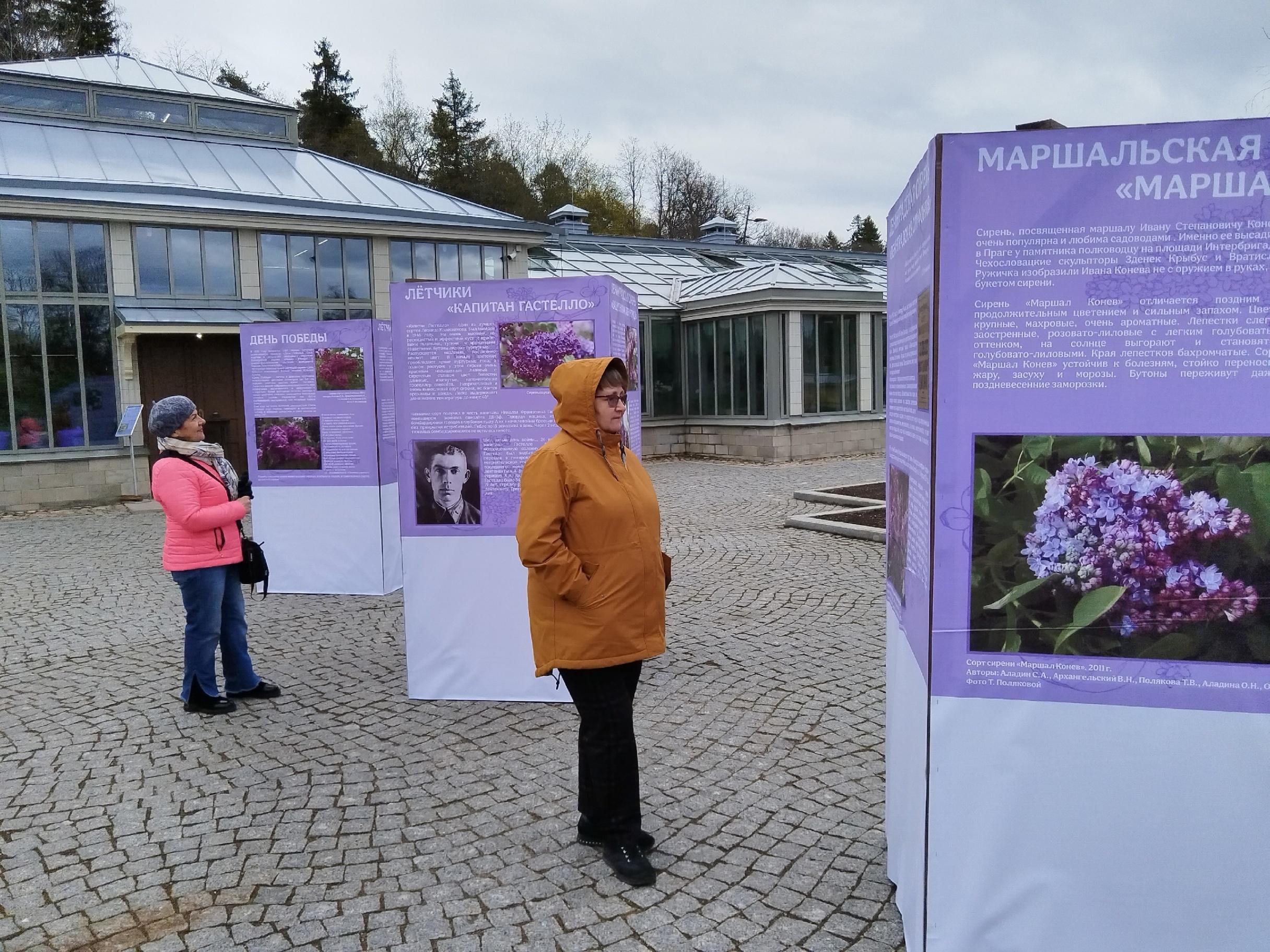 Выставка «Сирень и память о войне»