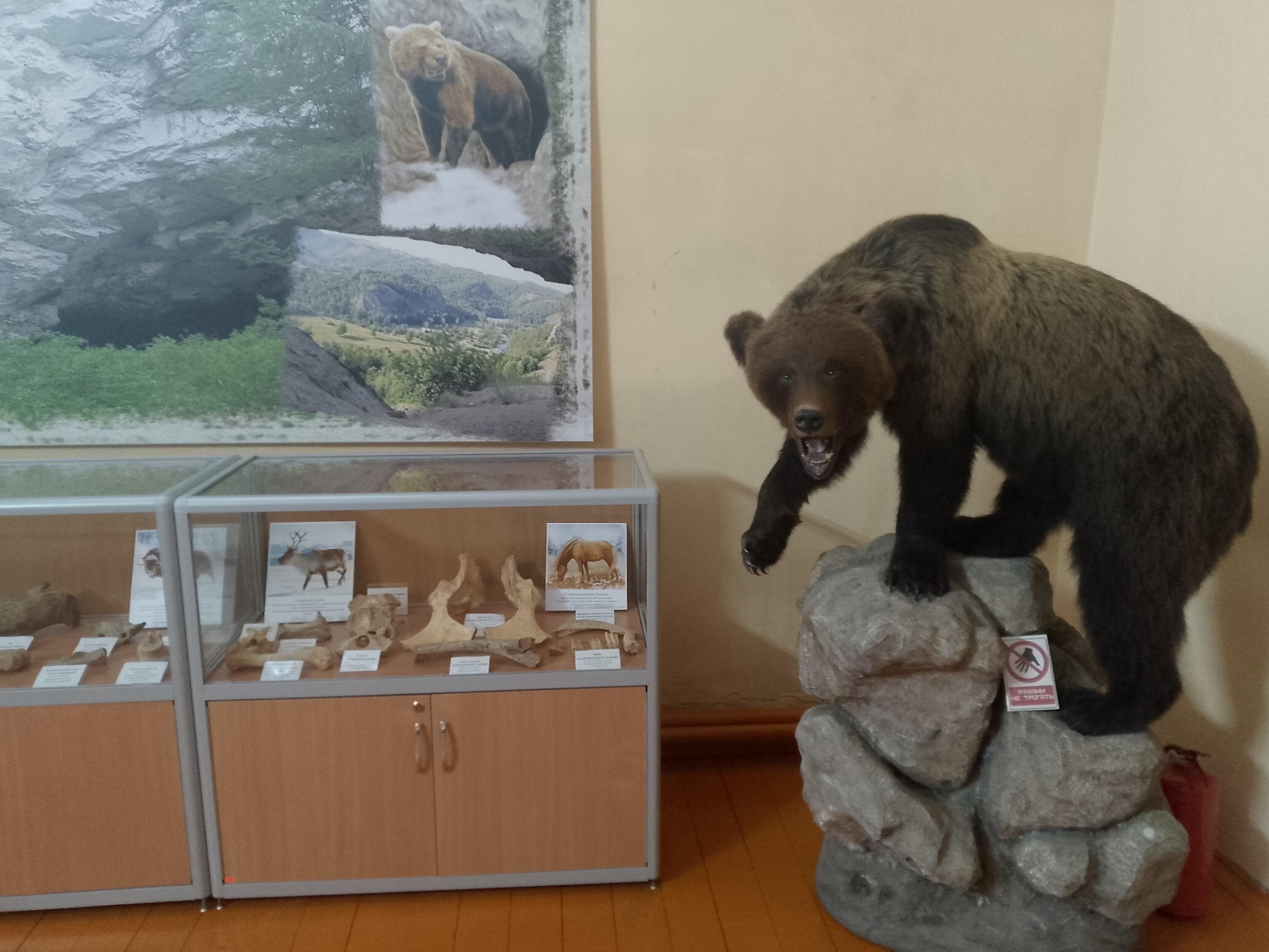 Выставка «По следам краеведа: коллекция древних артефактов»