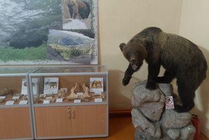 Выставка «По следам краеведа: коллекция древних артефактов»