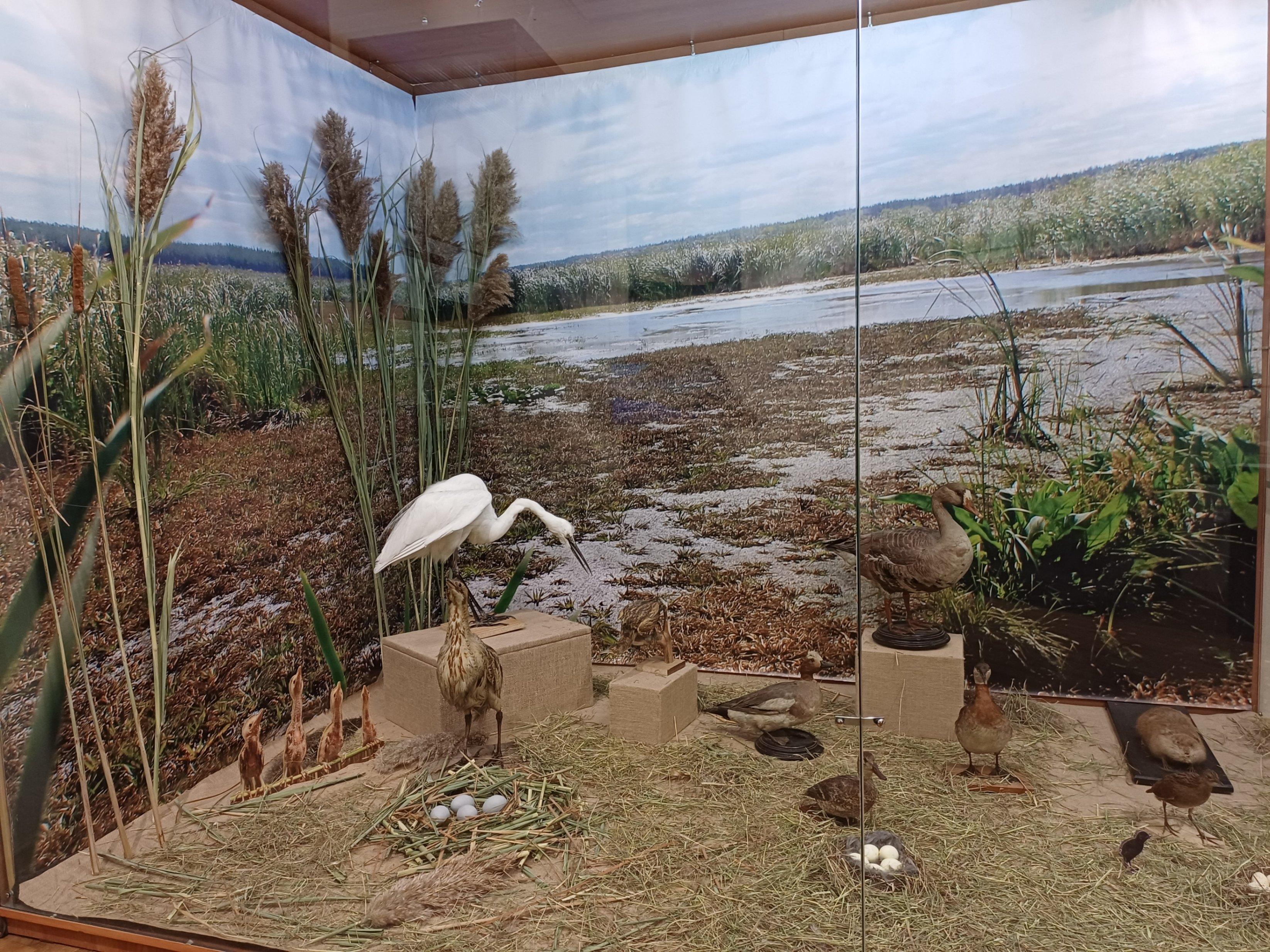 Выставка «Заповедными тропами Хопра. Экотуристам и путешественникам»