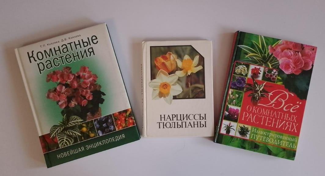 Цветочный калейдоскоп «Чудесные создания природы»