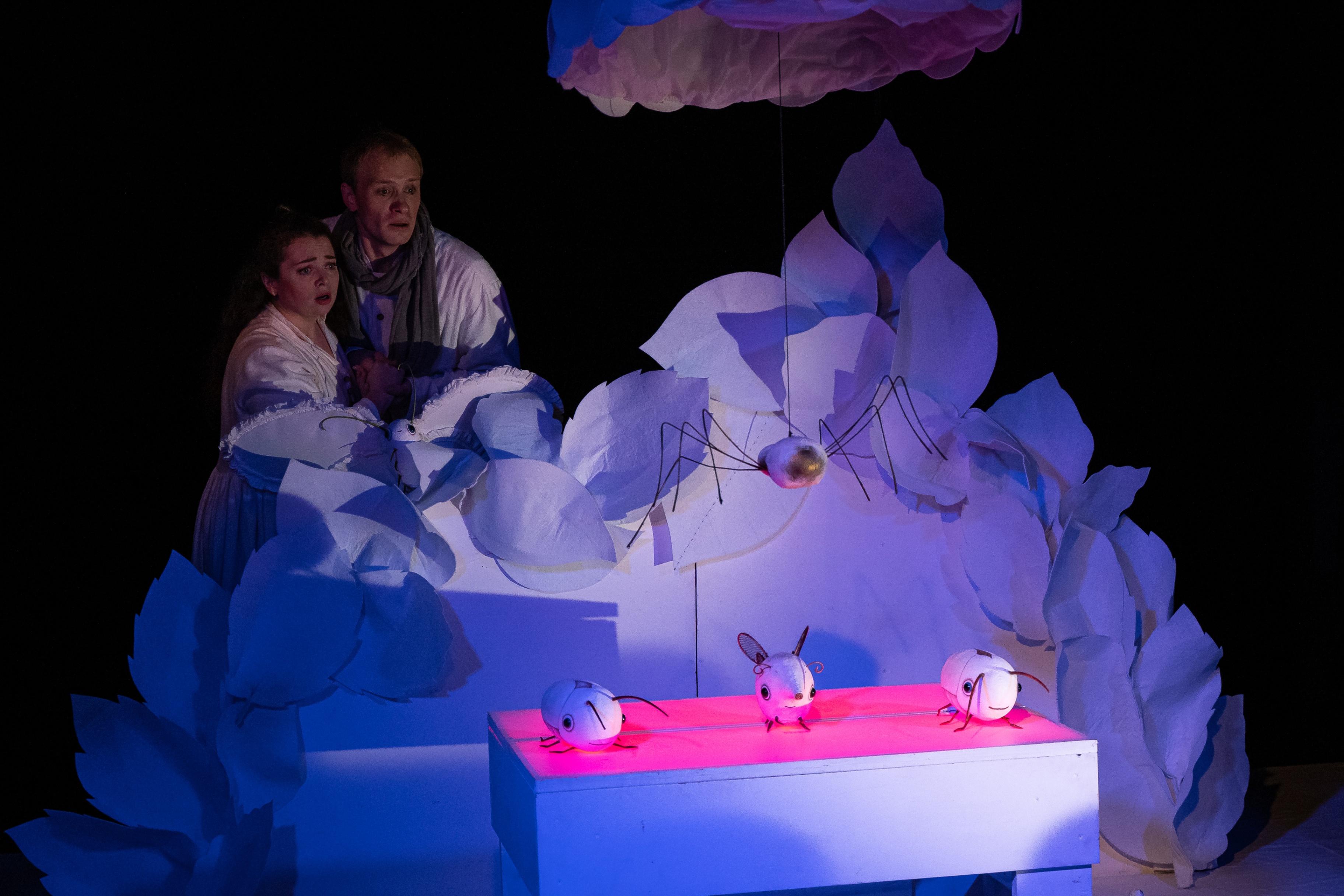 Спектакль «Муха-цокотуха»