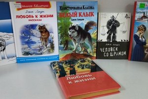 Выставка литературы «Белых снегов романтик»