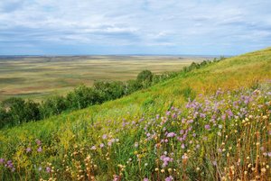 Программа «Родной земли многоголосье»