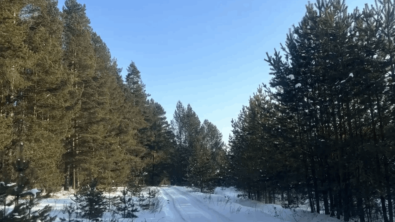 Выставка «История в фотографиях»