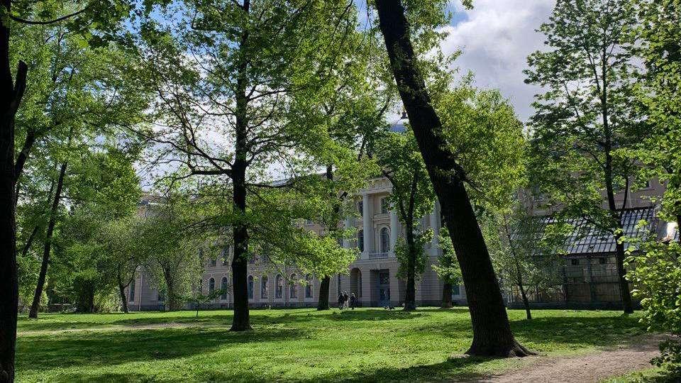 Цикл занятий «Под открытым небом. Академический пленэр для взрослых»