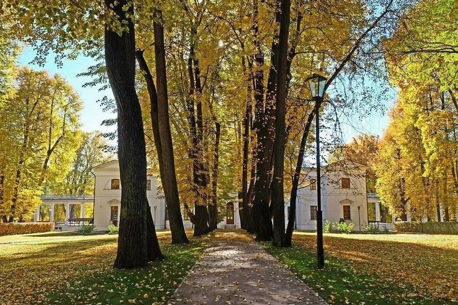 Спектакль «Гуси-лебеди»
