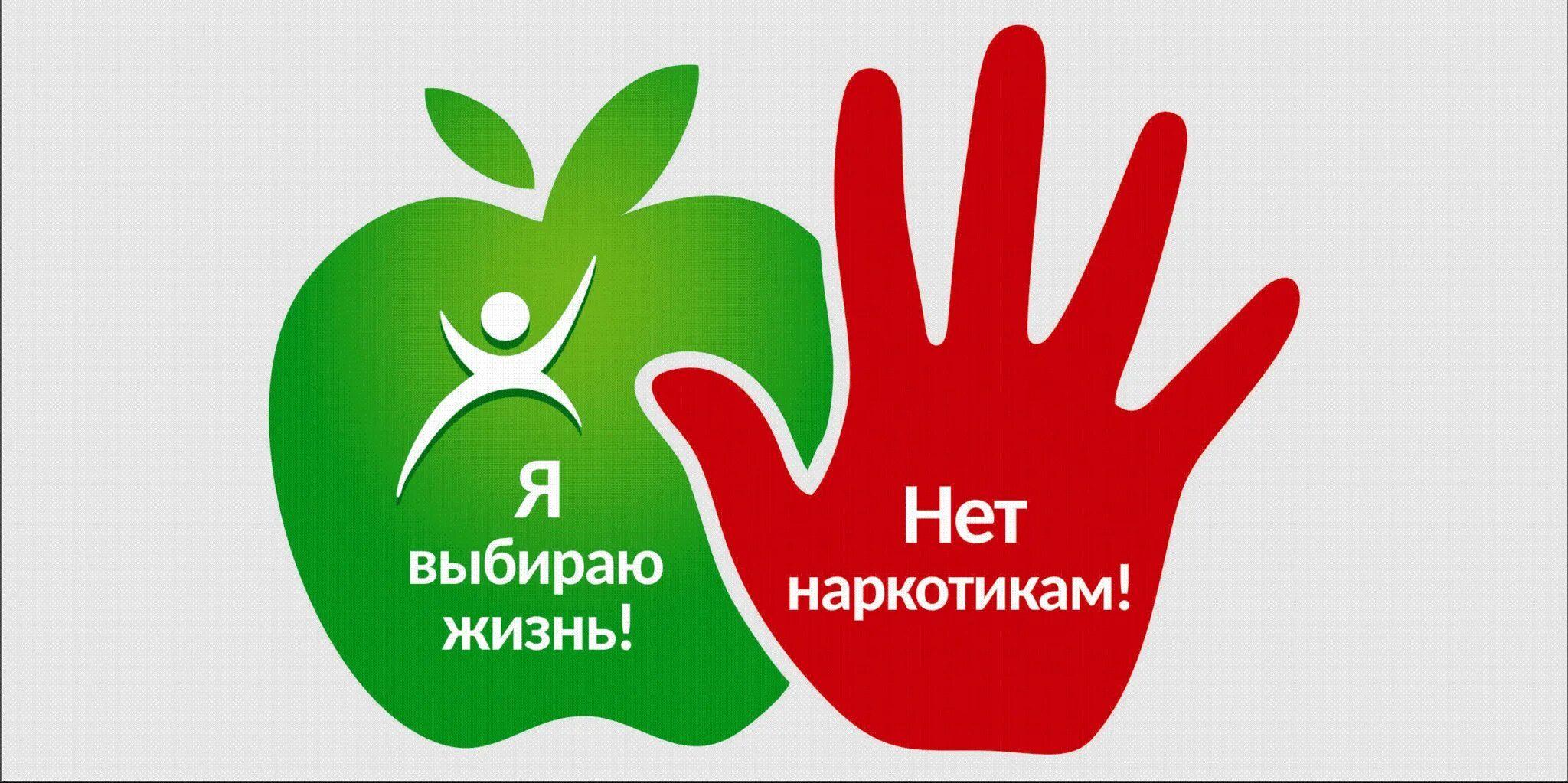 рофилактическая программа. «Мы за жизнь без наркотиков» К международному дню борьбы с наркоманией.