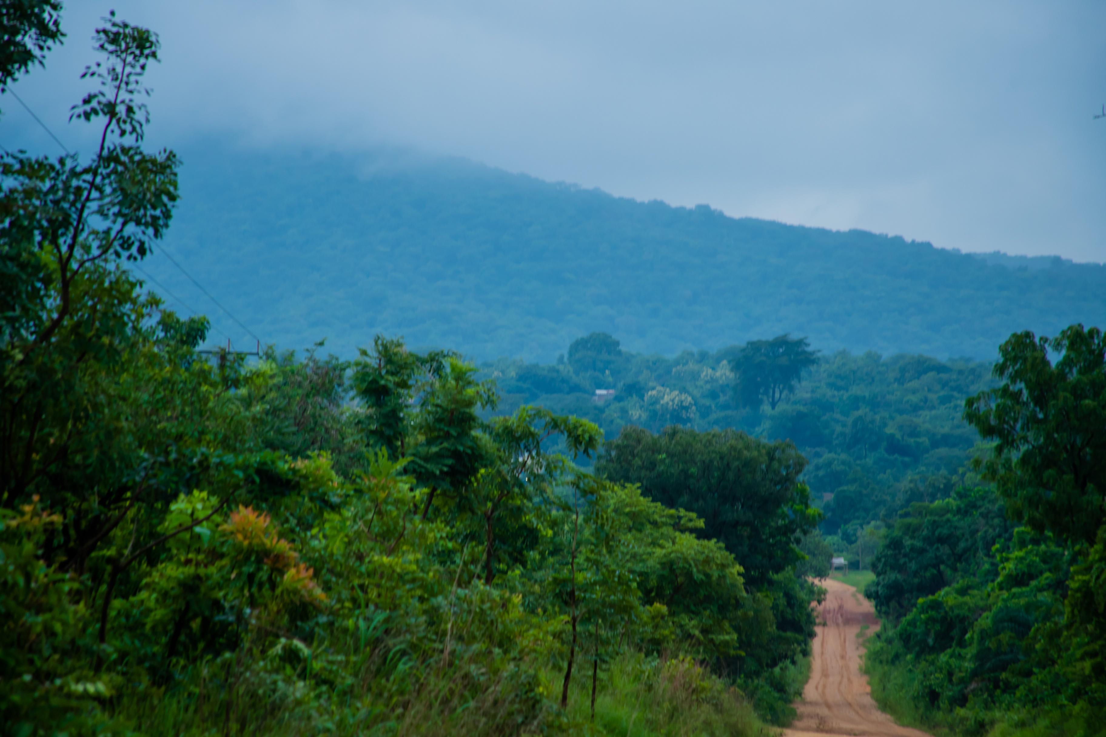 Экологическая викторина «Природа родной страны»