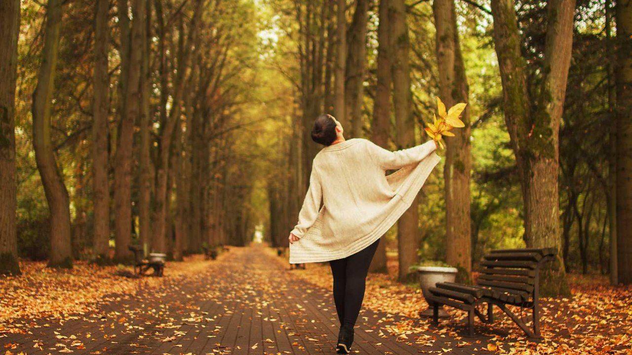 Развлекательная программа «Осенняя перезагрузка»