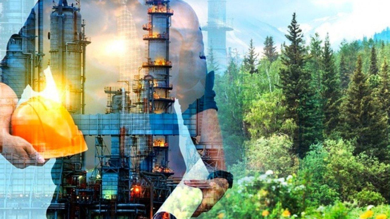 Экология и нефть