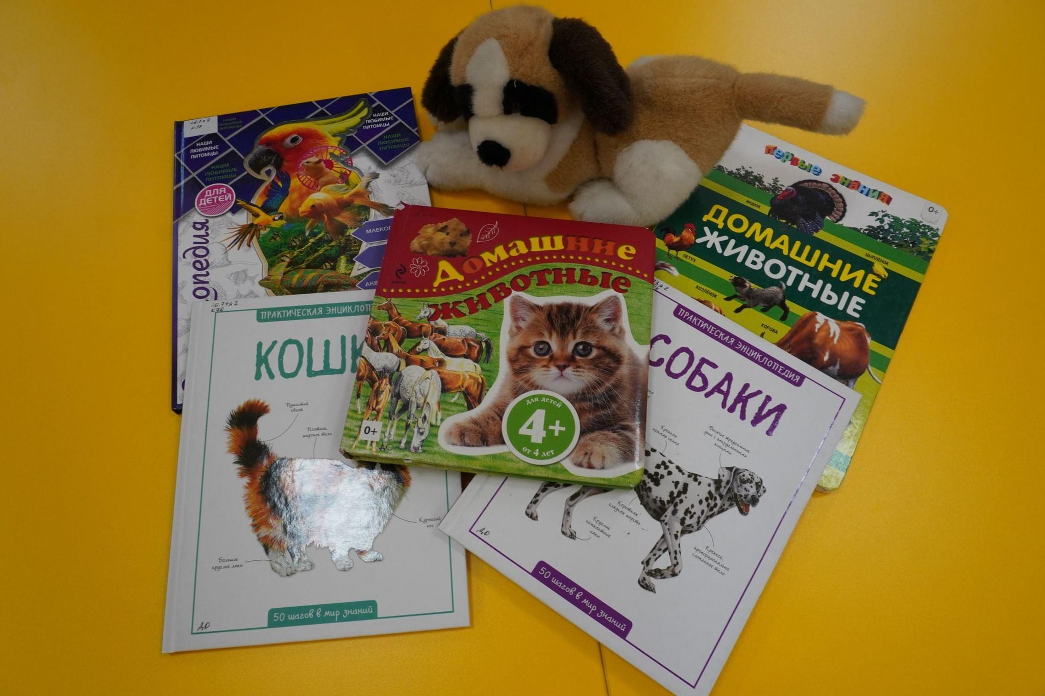 «О братьях меньших»