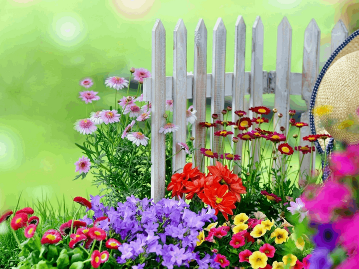 «хороши в моём саду цветочки» онлайн фотовыставка