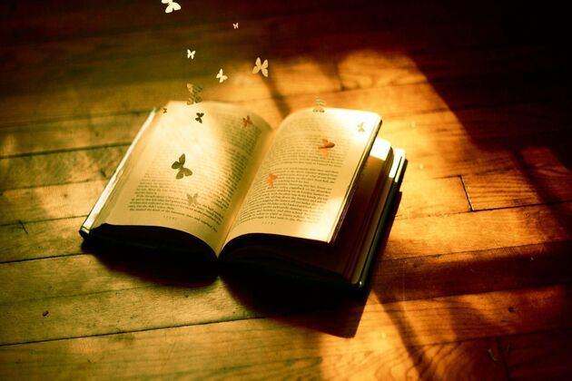 Программа «В мире книг»