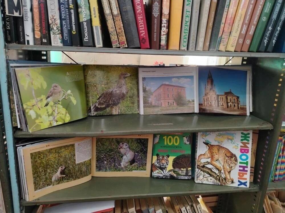 Программа «Любимые уголки родного края»