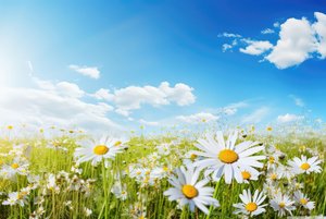 «Крымская весна»