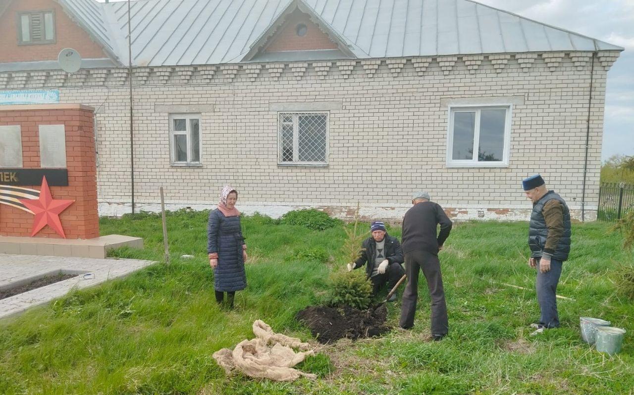 «Сад памяти »