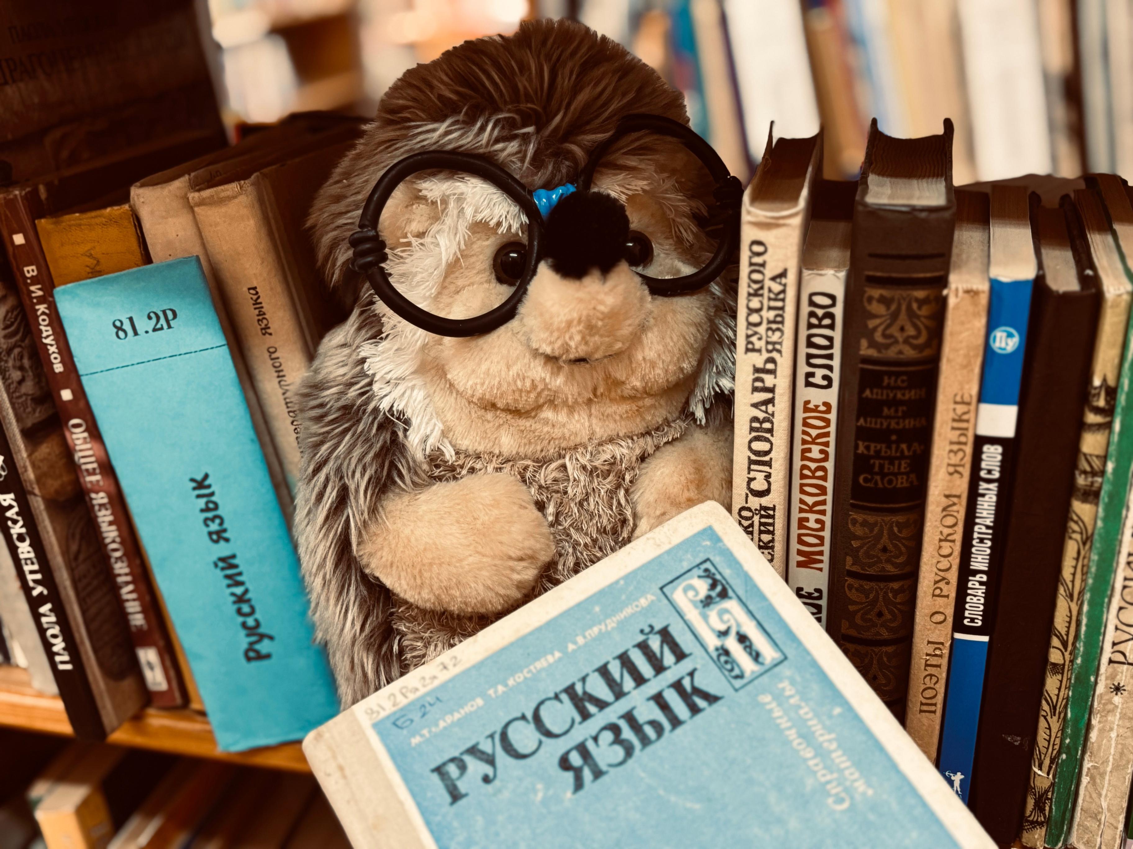 Интеллектуально-лингвистическая игра «Еж»
