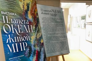 Выставка «Планета ОКЕАН. Живой мир»