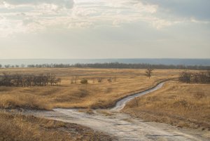 Виртуальная выставка «Поздняя осень в Дивногорье»