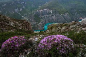 Мастер-класс «Рисуем пейзажи родного края»