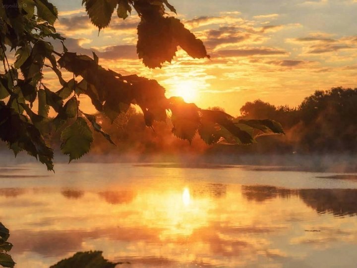 920 628. Hg. проигрыватель lenco ls 100. Am. втулка гидроцилиндра рулевого 4085-3409016.