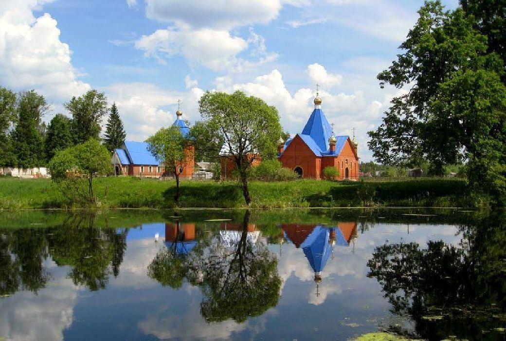 Патриотическое мероприятие в День воинской доблести Подмосковья «Патриоты родного края» (У знака Населенный пункт Воинской доблести д. Таширово)