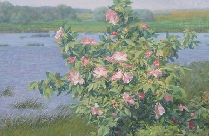 Программа «Секреты Никитина дня»