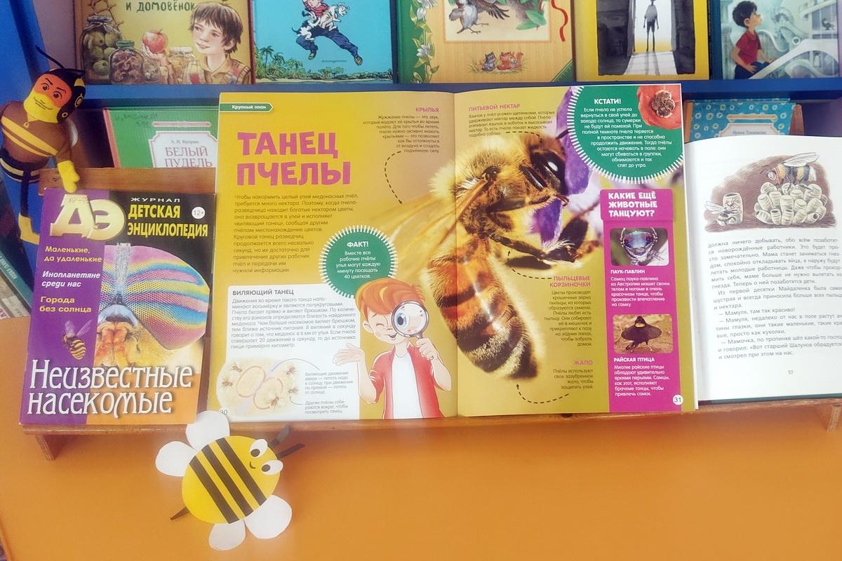 Час познаний и открытий «Пчелиные секреты»