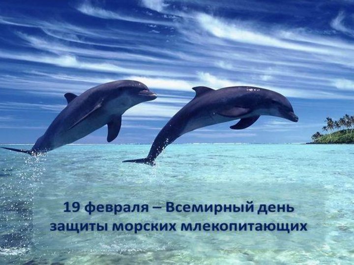 «Экологический календарь. День защиты морских млекопитающих»