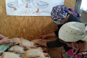 Татарский обрядовый праздник«Каз омэсе»