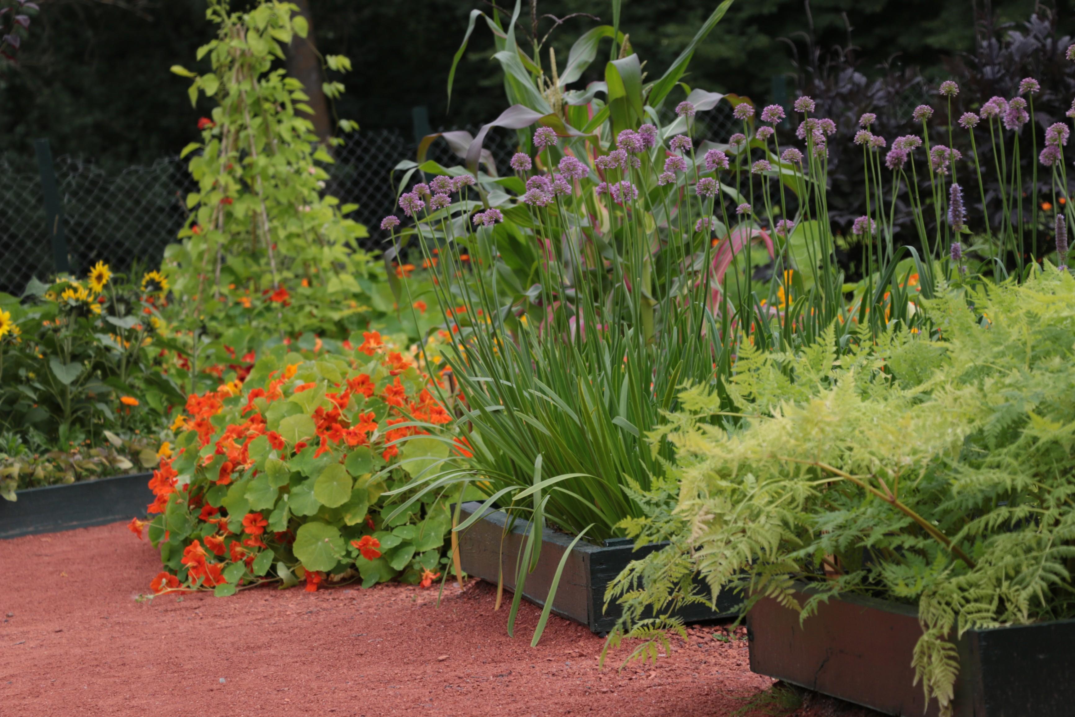 Экспозиция садоводства Боде