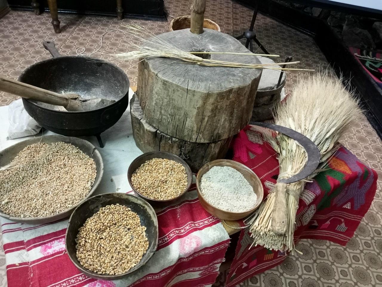 Этнографическое музейное погружение «Талкан: код жизни в капле вечности»