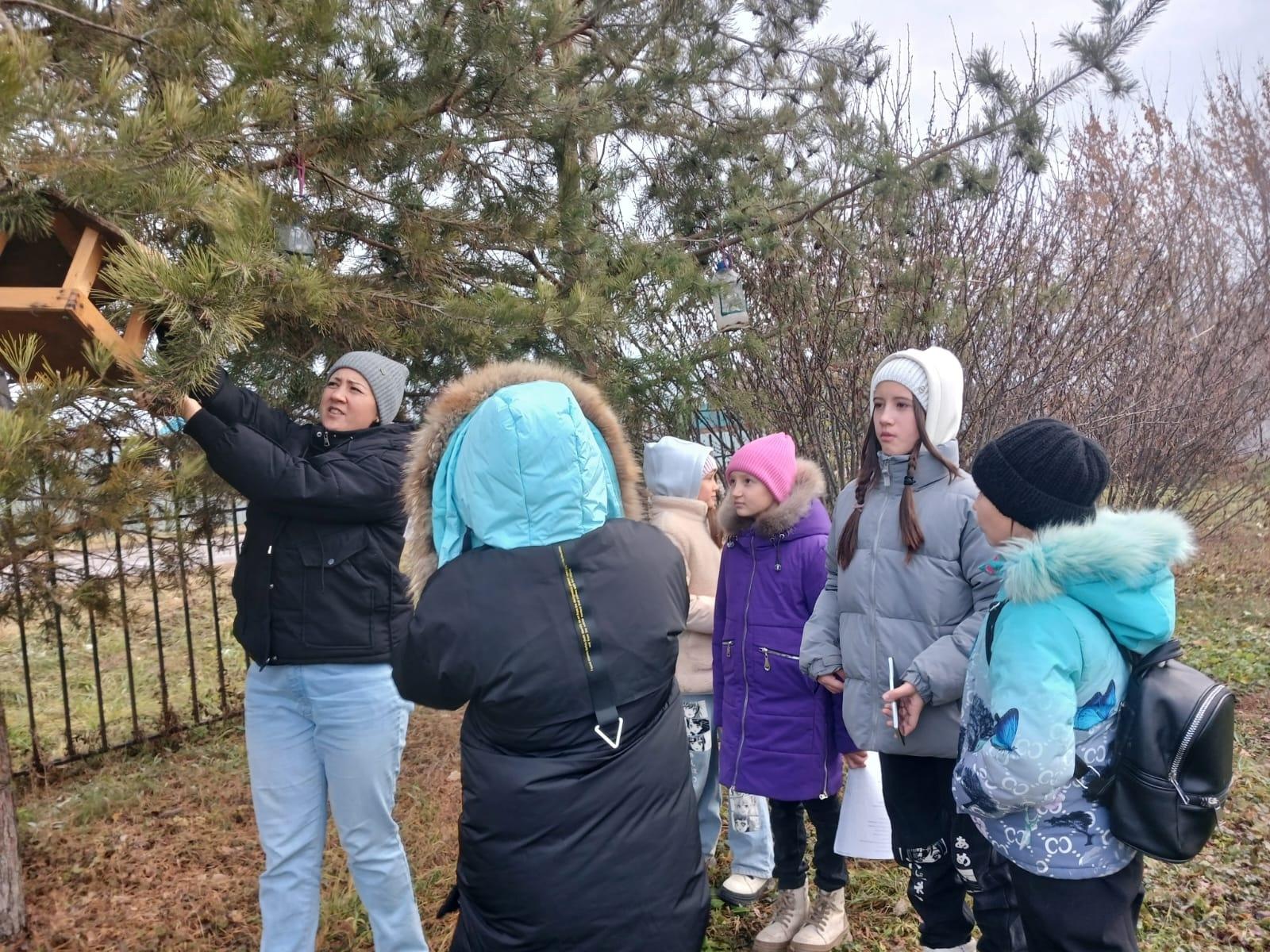 Викторина «Птицы родного края»