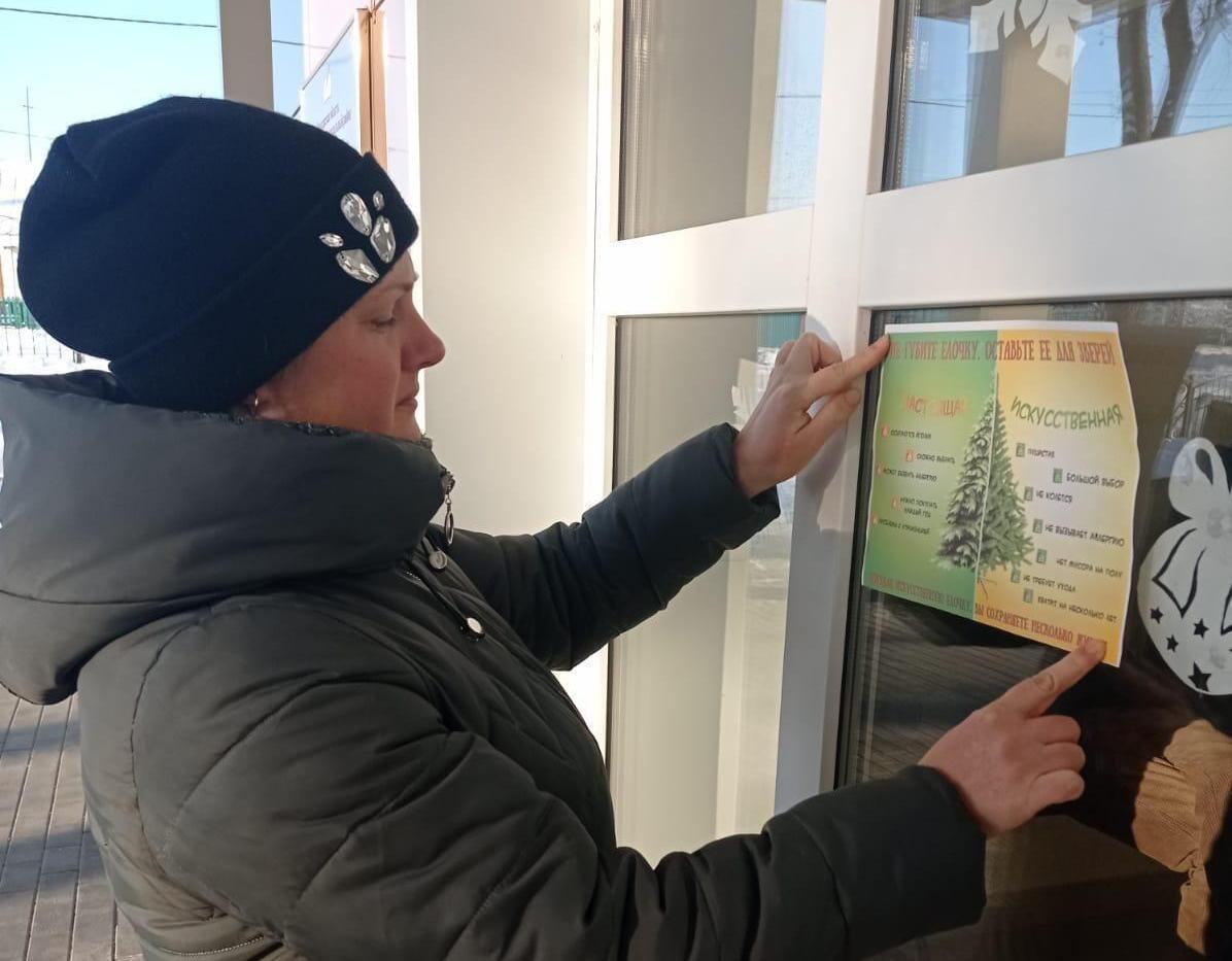 Акция «Операция «Ель»