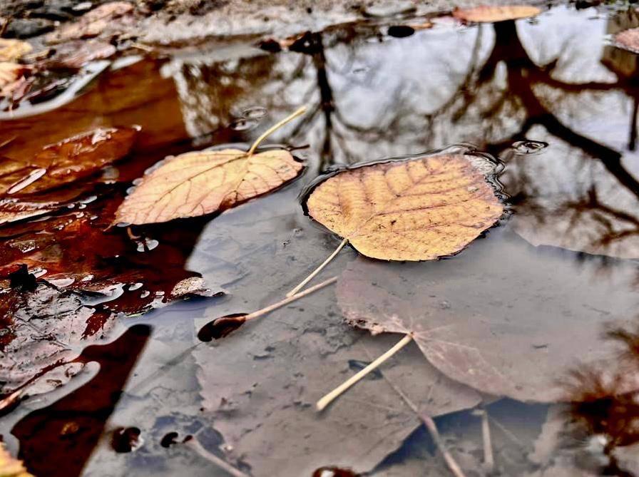 «Фотография. Танага Виктория» – выставка работ учащейся ДХШ им. В.А.Филиппова